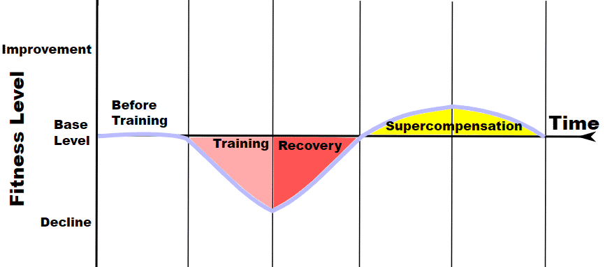 Supercompensation - An Important Tool For Your Calisthenics Workout Plan